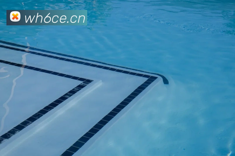 乐鱼官方首页入口发展历程